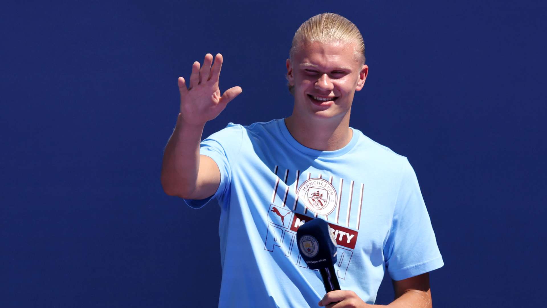 能够调动全 能够调动全